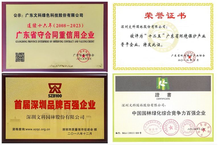 c6492a36-eb1d-4b9c-8f18-fe87b442cf49 c6492a36-eb1d-4b9c-8f18-fe87b442cf49
